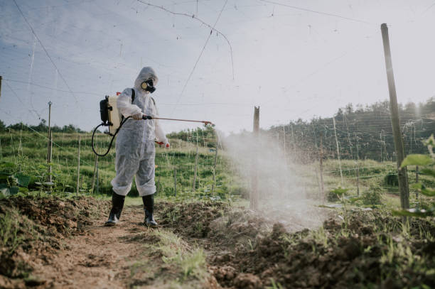 Best Best Pest Control Companies  in Troutdale, OR