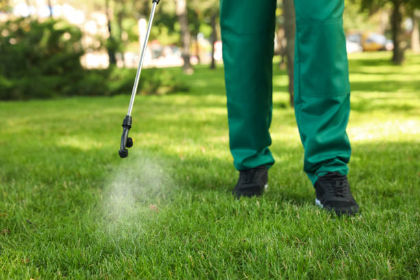 Best Local Pest Control Services  in Troutdale, OR