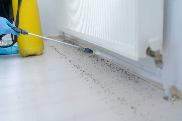 Best Pest Control for Homes  in Troutdale, OR