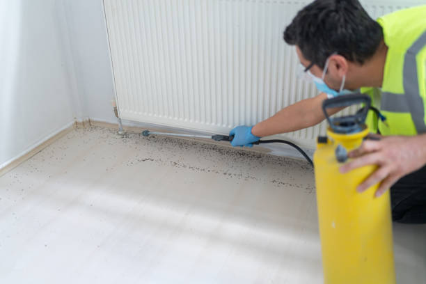 Best Rat Extermination Near Me  in Troutdale, OR