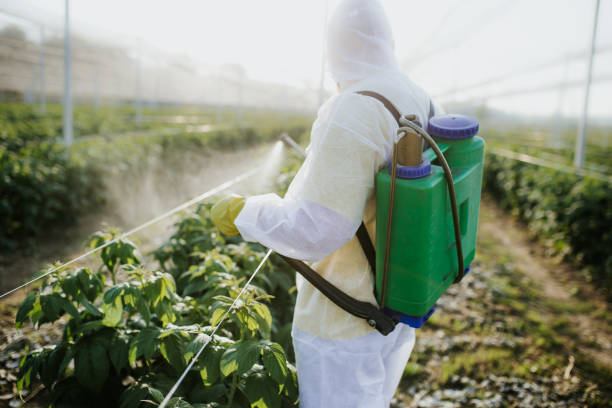 Best Flea Control Services  in Troutdale, OR